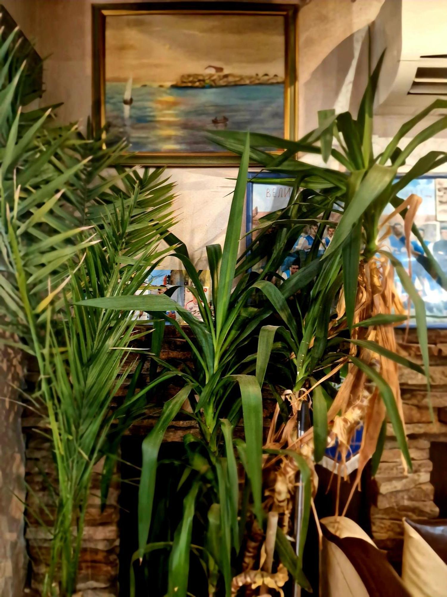 Family Hotel Four Seasons 茨雷沃 外观 照片